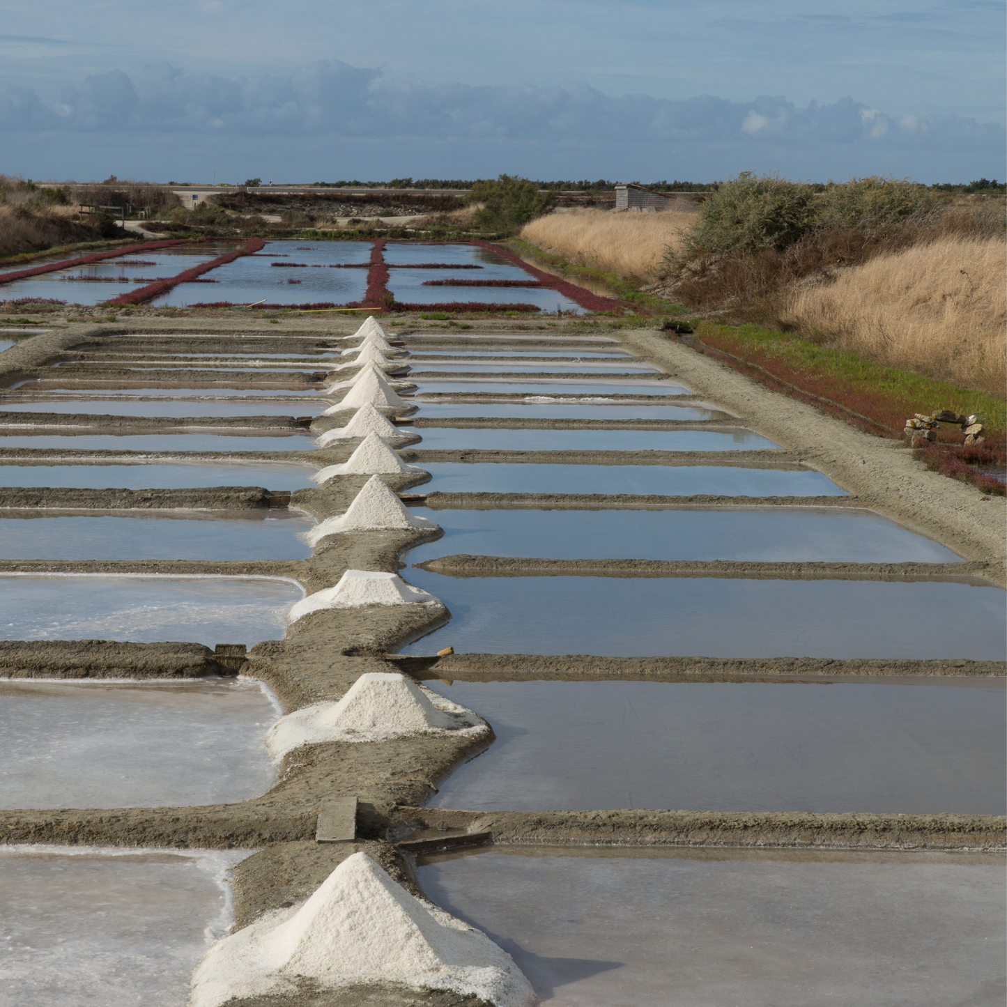 Basisches Badesalz mit Aktivkohle