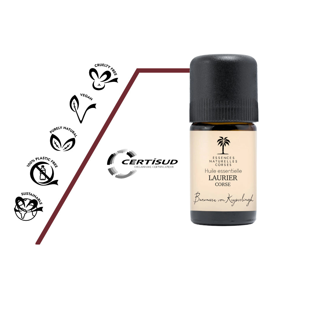 Naturreines Bio Lorbeeröl ohne Zusätze, aus nachhaltiger Wildsammlung