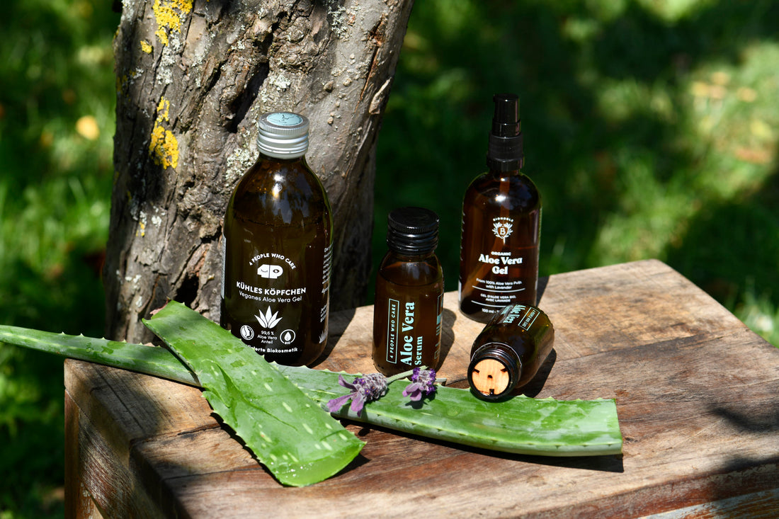 es sind 3 brauche Falschen mit Aloe Vera Saft zu sehen. sie stehen auf einem Tisch mit zwei Aloe Vera Blätter. Der kleine Holztisch ist an einem Baum stamm gelehnt.