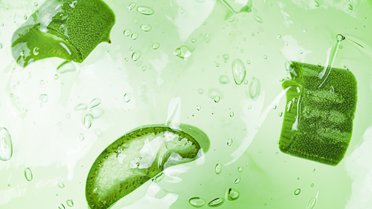 Ein Produkt, viele Anwendungen: 10 Gründe für Aloe Vera Gel im Alltag
