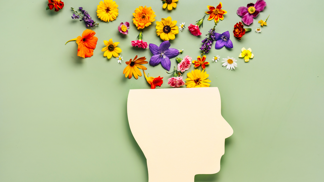 Stress & Nervensystem: Wie innere Anspannung dein Hautbild verändert (Teil 4)