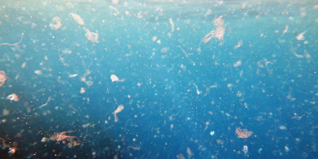 Naturkosmetikprodukte ohne Mikroplastik in Glas- und Papierverpackungen – nachhaltige Pflege für Haut, Gesundheit und Umwelt.