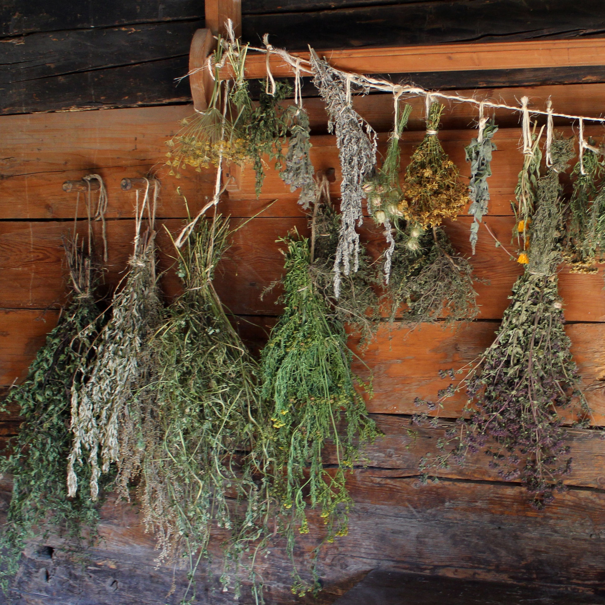 Bio-Kräuter Arnika, Salbei, Thymian, Rosmarin, Majoran und Schafgarbe als Rohstoffe für Badesalze