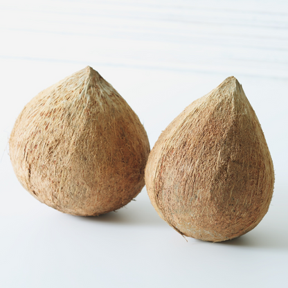 Konjac Gesichtsschwamm