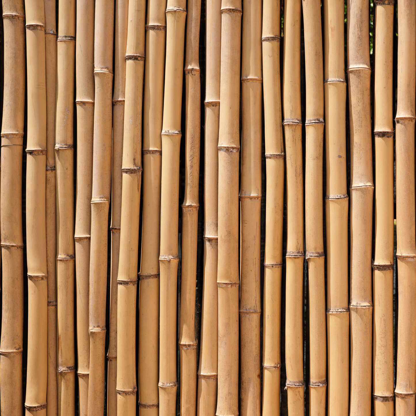 Holzkamm aus Bambus