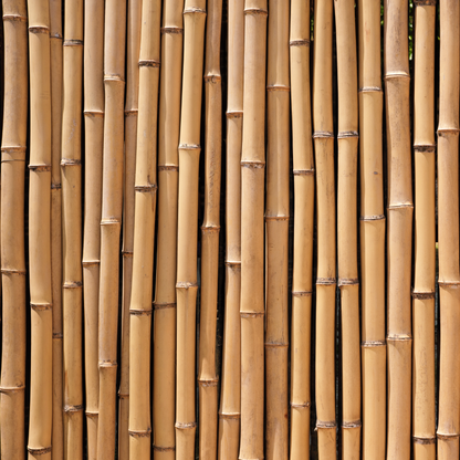 Holzkamm aus Bambus