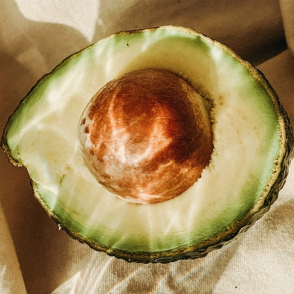 Frische Avocadofrucht aus kontrolliert ökologischem Anbau, Ursprung des wertvollen Bio Avocadoöls