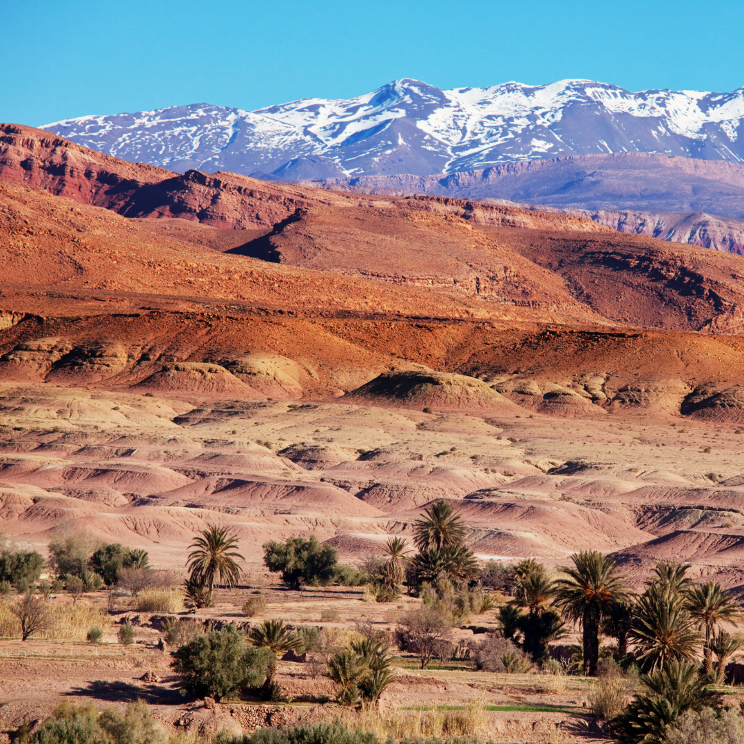 Ghassoul-Erde aus Marokko, sorgfältig gewonnen und schonend gemahlen für hochwertige Pflege in Naturkosmetik.