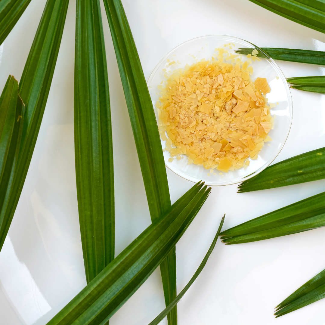 Lippenbalsam "Vegan Auf's Mäulchen"