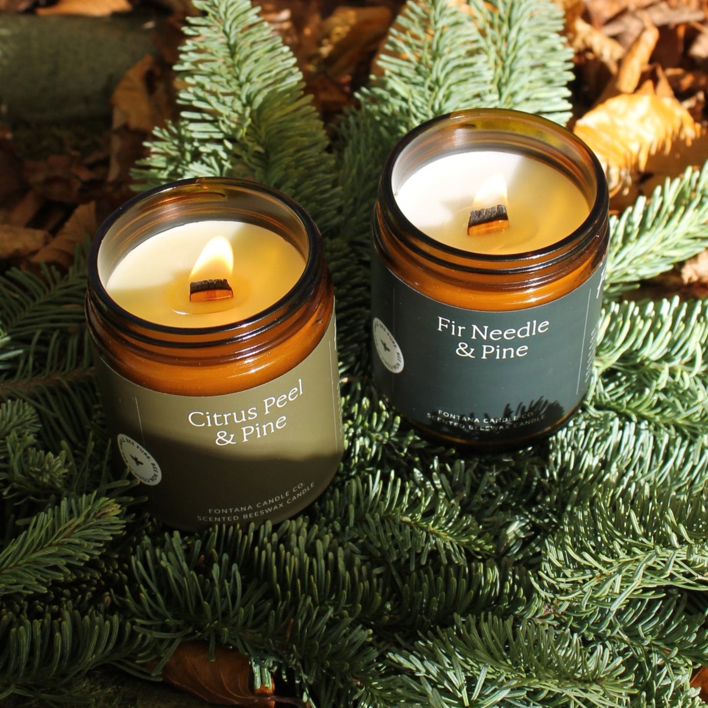 Fir Needle & Pine Kerze angezuendet mit knisterndem Holzdocht, natuerliche Aromakerze