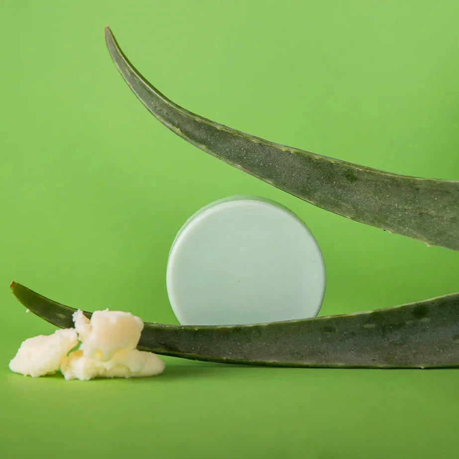 Aloe Vera Love Conditioner Seife