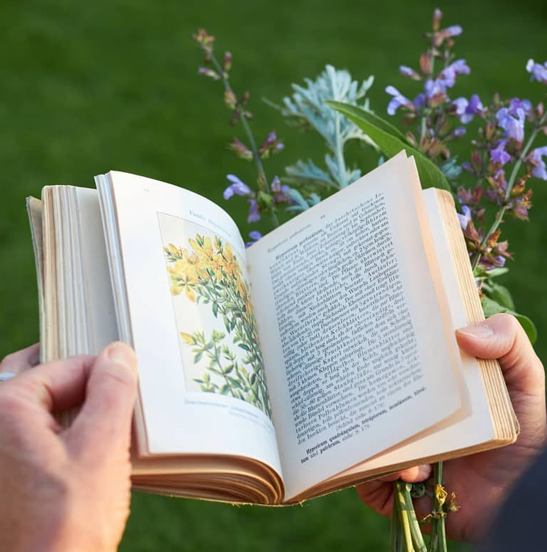 Kräuterkerze Neubeginn