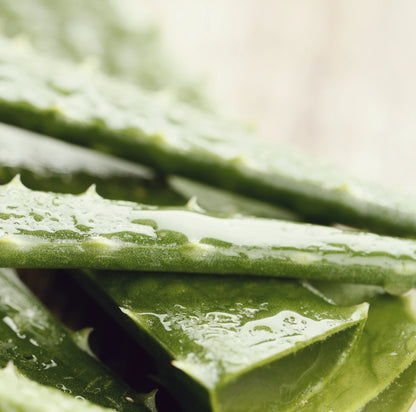 Aloe Vera Serum Pur, 99,6% - 50ml