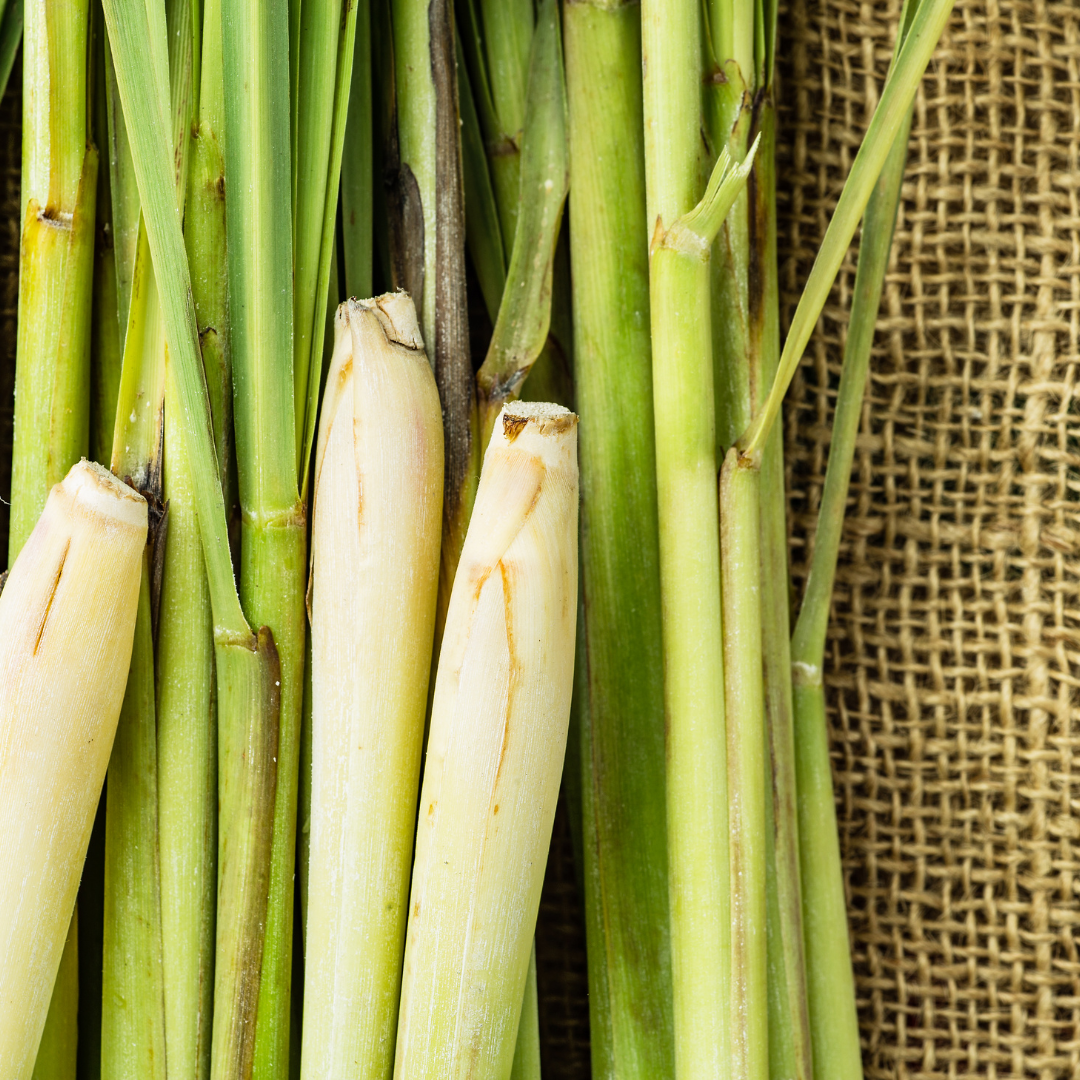 Zitronengras-Rohstoff, dampfdestilliert, aus natürlichen Inhaltsstoffen