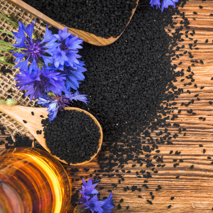 Bio Schwarzkümmelöl aus ägyptischen Schwarzkümmelsamen, vegan, naturrein und frei von Zusätzen