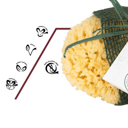 Naturschwamm, frei von Plastik oder synthetischen Zusätzen. vegan und nachhaltig im Naturshop 