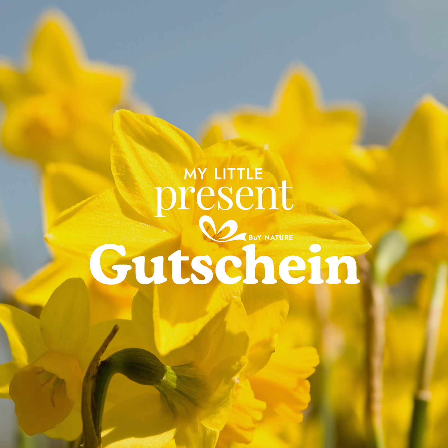 Geschenkgutschein
