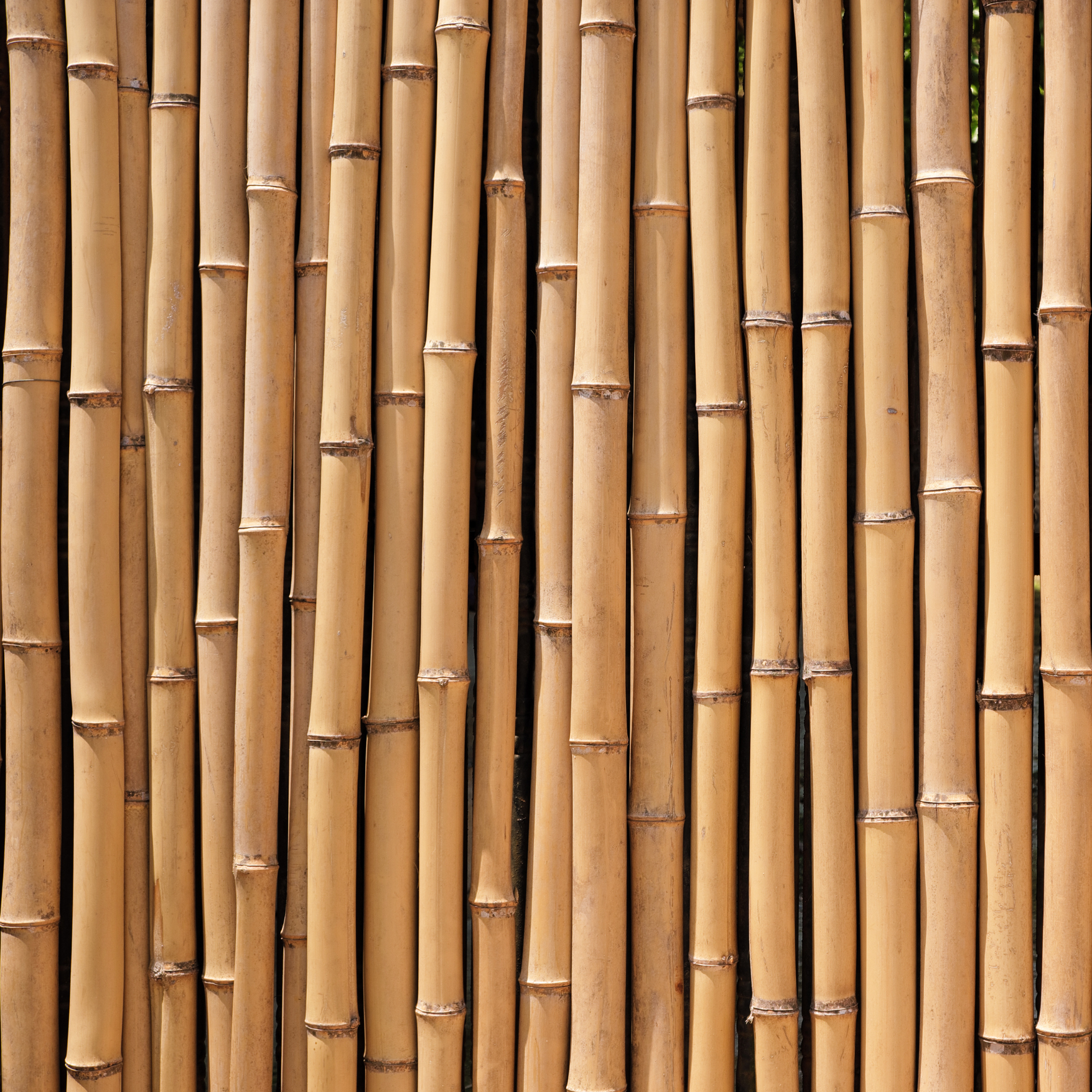 Bambus ist vielseitig einsetzbar in der Naturkosmetik und Verpackungen.