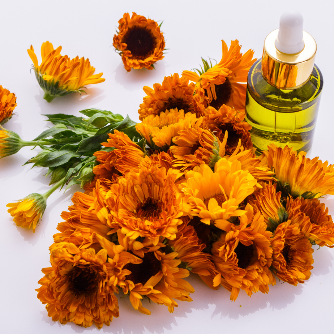Ringelblumenextrakt (Calendula Officinalis) in natürlicher Lippenpflege für sanfte Beruhigung, Regeneration und Schutz empfindlicher Lippen, 100 % pflanzlich