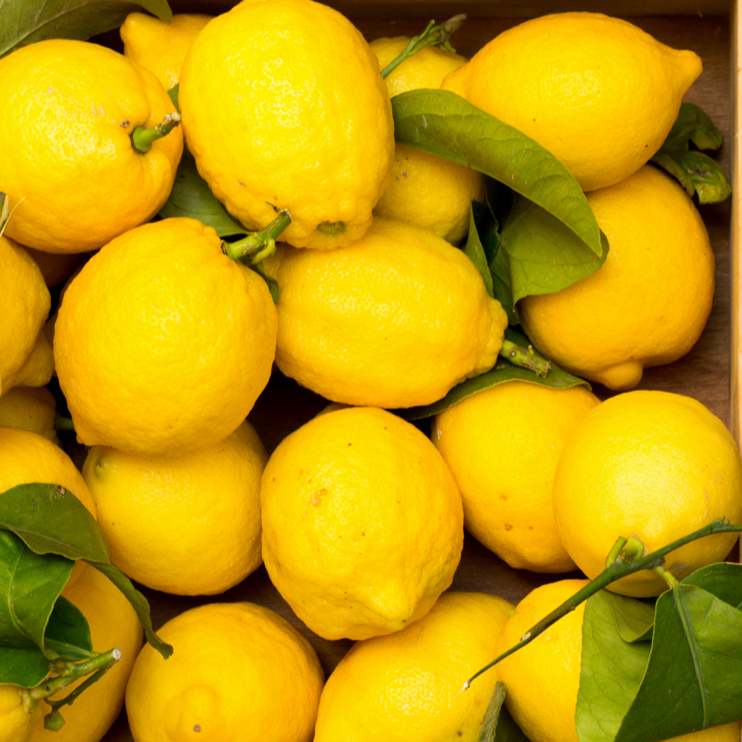 Aromakerze Licht der Alpen - Die Sonnige