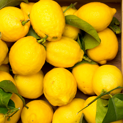 Aromakerze Licht der Alpen - Die Sonnige