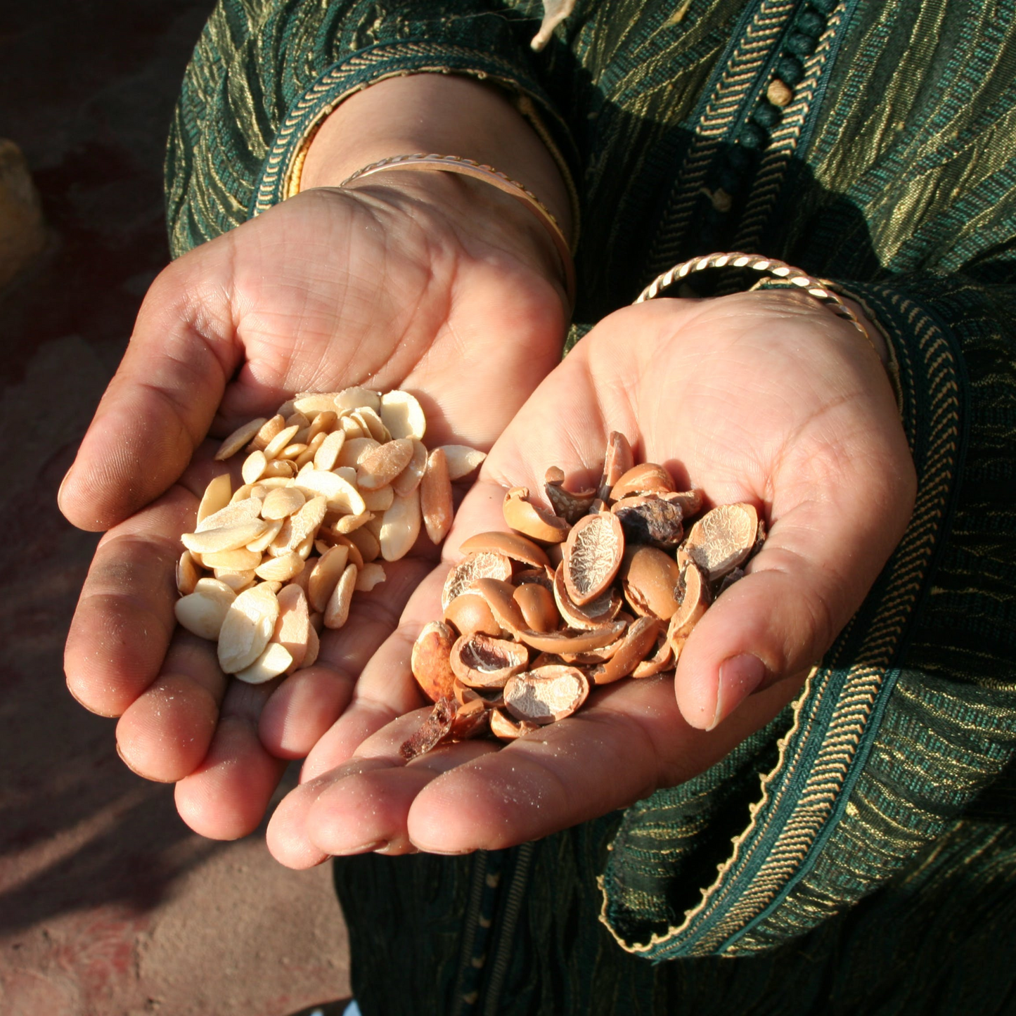 Bio Arganöl im Natursetting – 100 % biologisches Haut-, Haar- und Nagelpflegeöl aus Marokko