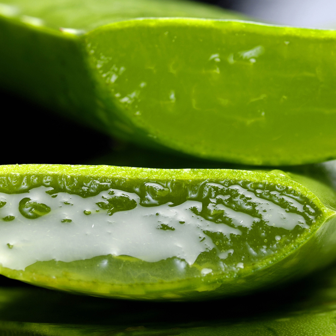 Bio-Hyaluronserum für Gesicht, Hals und Dekolleté, vegan & naturrein mit Aloe Vera Juice