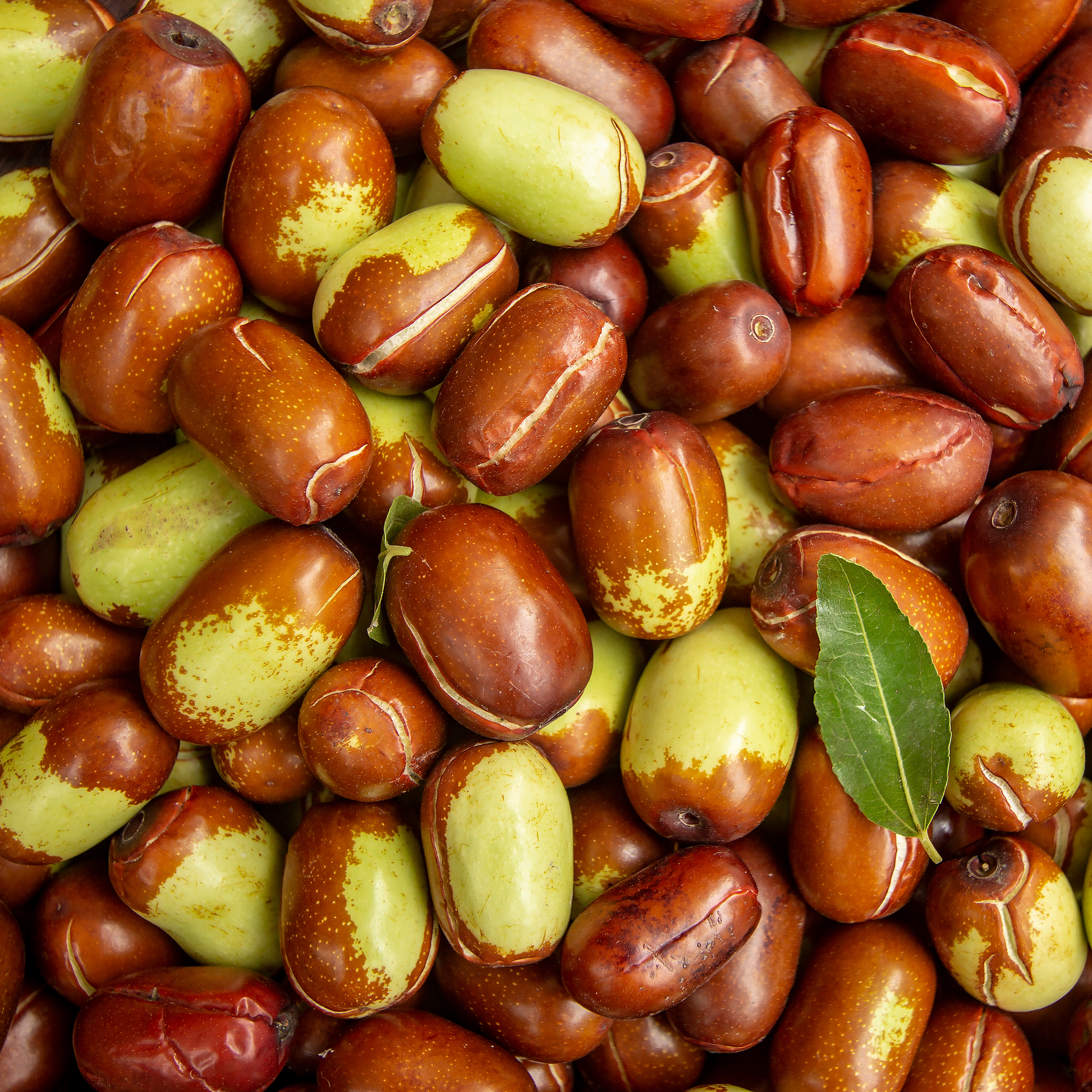 Bio Jojobaöl für Haarlängen und Spitzen – reduziert Frizz, stärkt Haarstruktur und verleiht Glanz