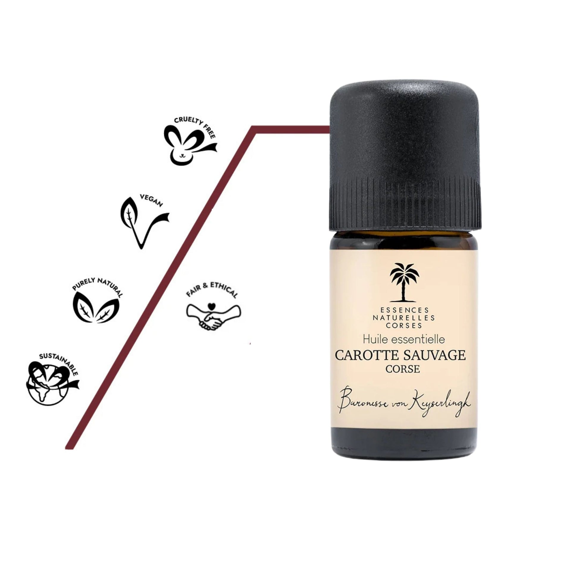 Flasche Bio ätherisches Öl Karottenkern aus 100 % biologischem und naturreinem Anbau, teilweise biodynamisch kultiviert, aus eigener Handernte und Wildsammlung, vollständig pflanzlich und vegan, ohne Tierversuche hergestellt, mit transparenter Herstellung von Anbau über Destillation bis Abfüllung.