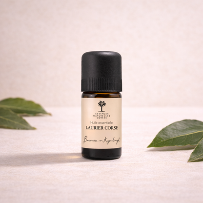 Flasche Bio ätherisches Öl Lorbeere auf beigeem, cleanem Studio-Hintergrund, mit Infusionszutaten passend zum Öl im Hintergrund. 100 % naturrein, biologisch, pflanzlich und vegan, aus biodynamischem Anbau und Handernte, transparent hergestellt von Pflanze bis Abfüllung.