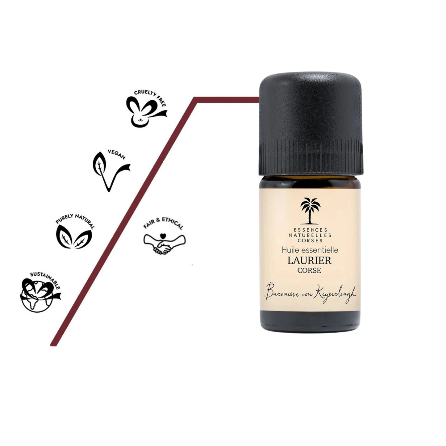 Flasche Bio ätherisches Öl Lorbeere aus 100 % biologischem und naturreinem Anbau, teilweise biodynamisch kultiviert, aus eigener Handernte und Wildsammlung, vollständig pflanzlich und vegan, ohne Tierversuche hergestellt, mit transparenter Herstellung von Anbau über Destillation bis Abfüllung.