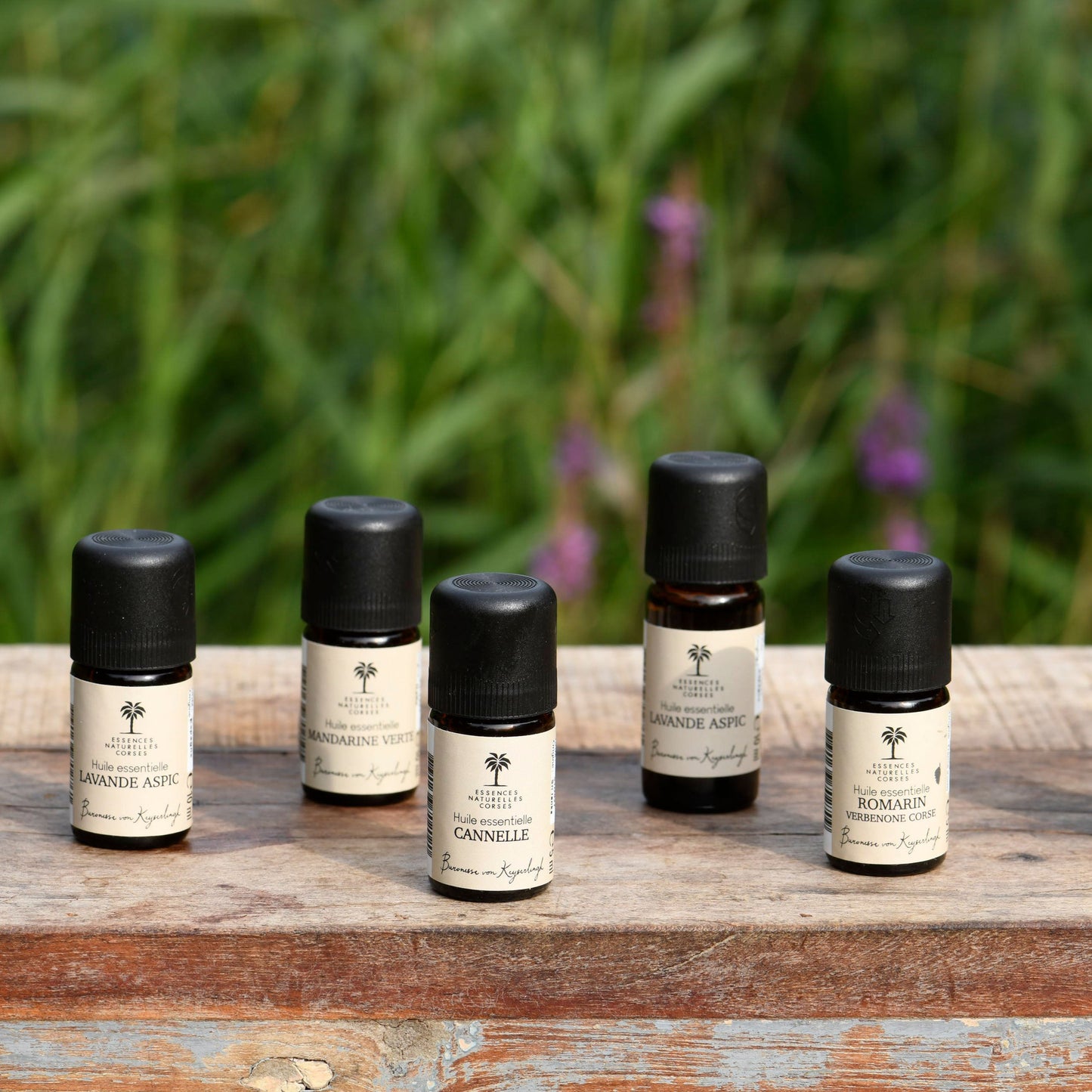 Auswahl an naturreinen Blütenextrakten und ätherischen Ölen für Aromatherapie, Hautpflege und Wellness – für alle Bedürfnisse