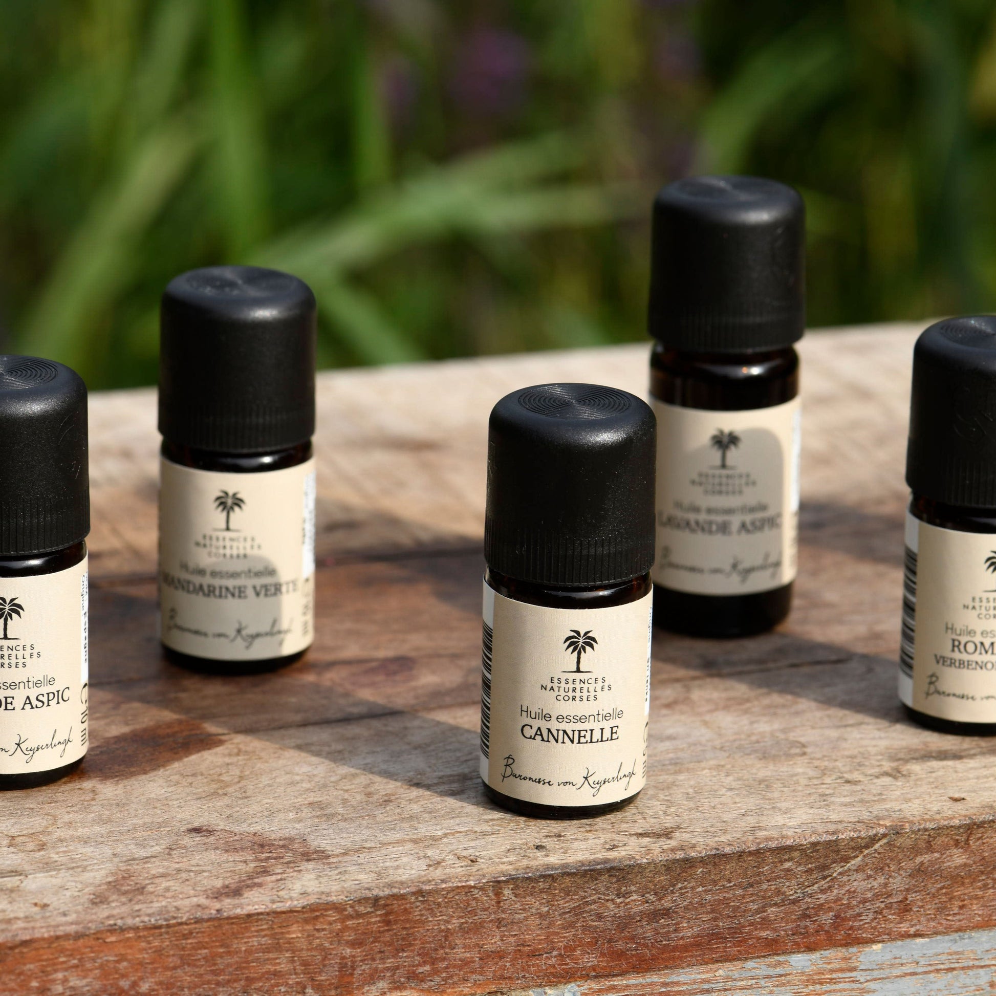 Auswahl an naturreinen Blütenextrakten und ätherischen Ölen für Aromatherapie, Hautpflege und Wellness – für alle Bedürfnisse