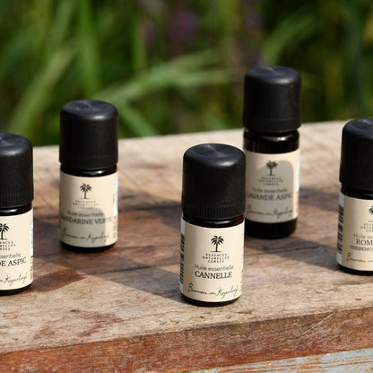 Auswahl an naturreinen Blütenextrakten und ätherischen Ölen für Aromatherapie, Hautpflege und Wellness – für alle Bedürfnisse