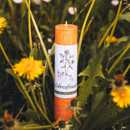 Duftkomposition der Heilkräuterkerze Lebensfreude mit Sonnenblume, Gänseblümchen, Ringelblume und Johanniskraut