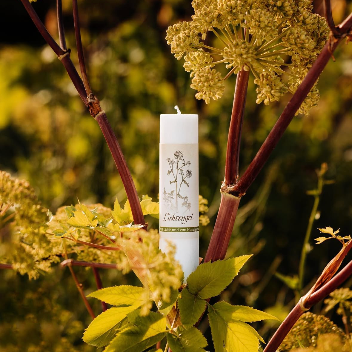 Heilkräuterkerze Lichtengel als Begleiter für Licht, Schutz, positive Energie und liebevolle Momente