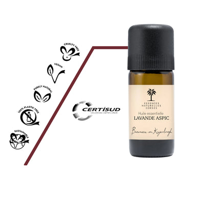 Lavandula latifolia Blüten aus wildem Anbau in Südspanien für naturreines Bio-Öl