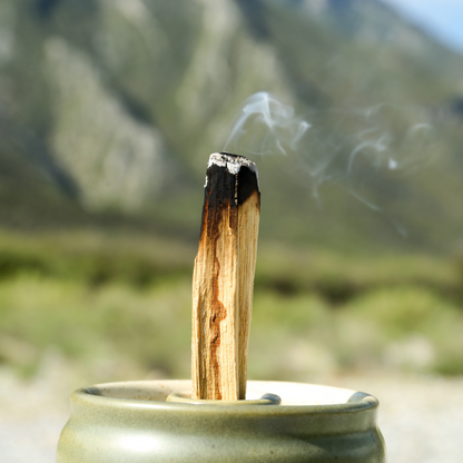 Palo-Santo-Holz angezuendet zur energetischen Reinigung von Raeumen, Ritualen und bewusster Selbstpraxis.