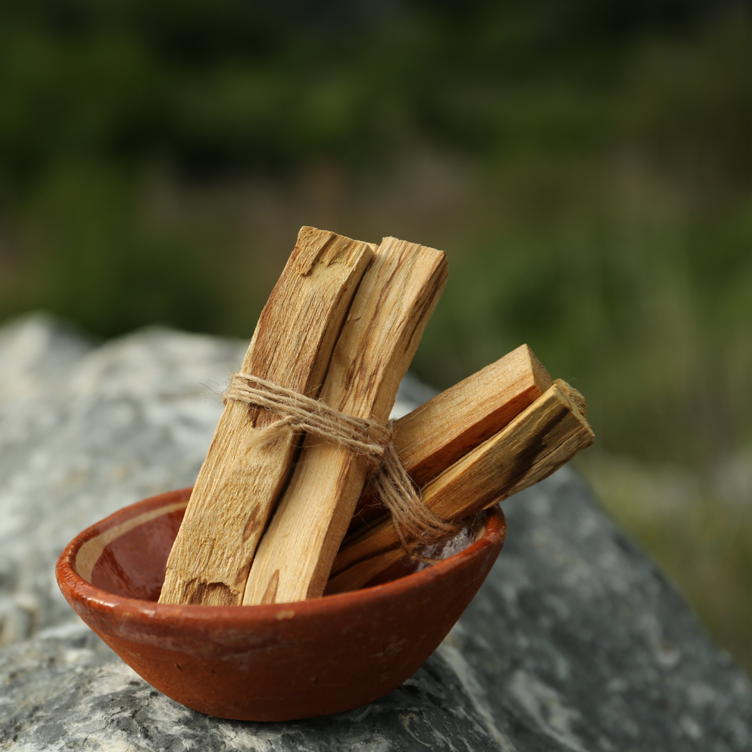 Palo Santo Stäbchen dekorativ in natürlicher Umgebung, harmonische Stimmung, warmes Licht.