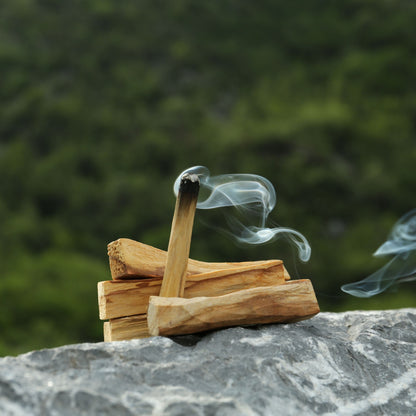 Palo Santo Stäbchen glimmend mit sanft aufsteigendem Rauch, ideal für energetische Reinigung, Meditation und Entspannung.