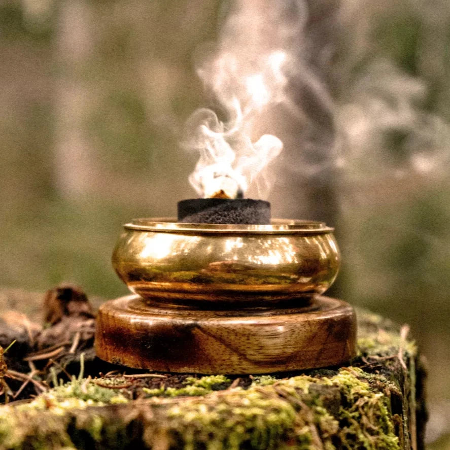 Detailaufnahme der harmonischen Kombination aus Holzfuß und goldfarbenem Metallgehäuse