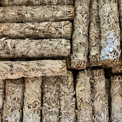 Nahaufnahme der silbrig-grünen Blätter eines großen weißen Salbei Bündels mit natürlicher Blattstruktur.