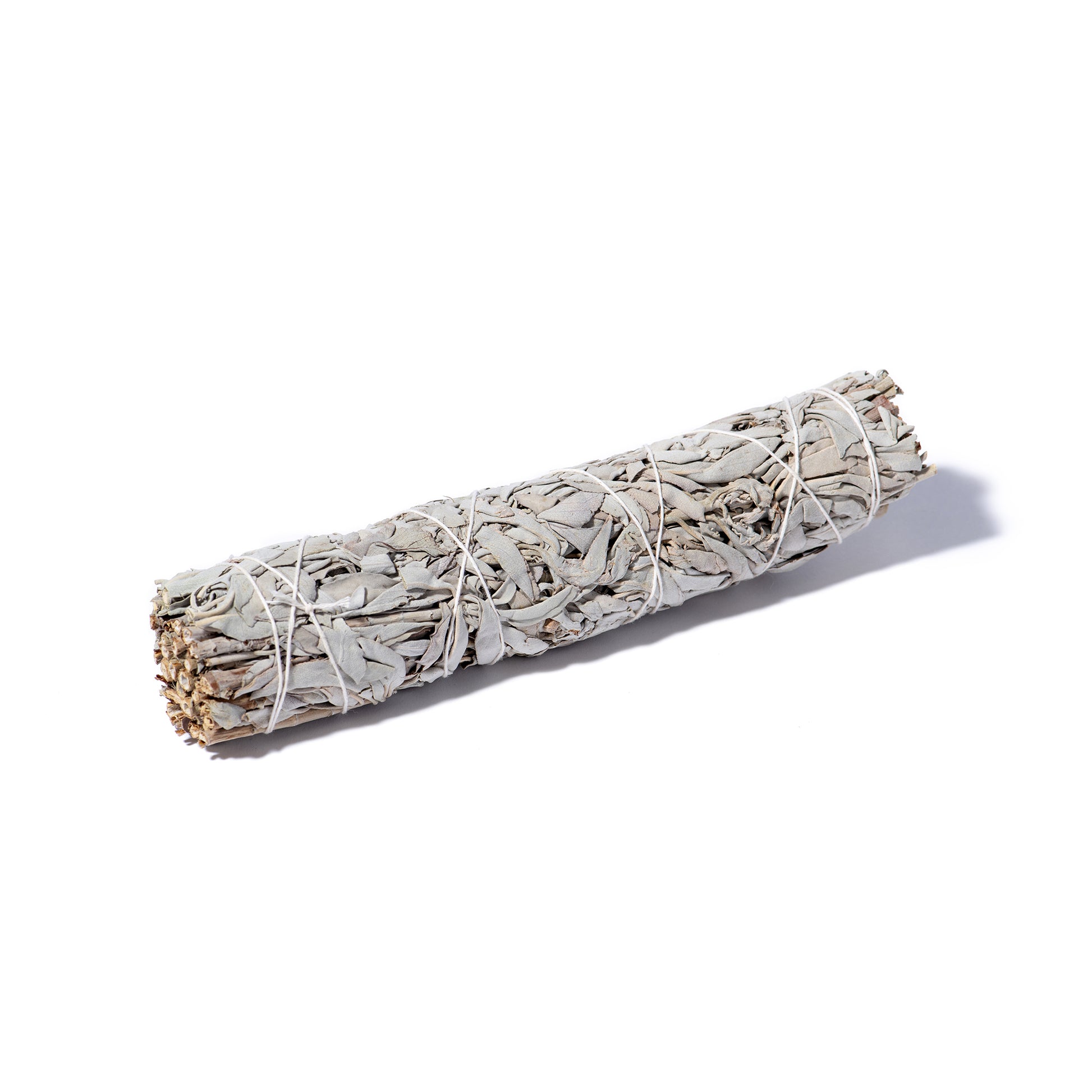 Großes Bündel weißer Salbei, naturbelassen und unbehandelt, frontal fotografiert auf hellem Hintergrund.