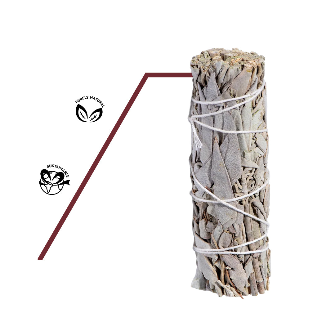 Weißer Salbei als Symbol für Reinheit, Schutz und energetische Reinigung. Naturrein, unbehandelt in top Qualität