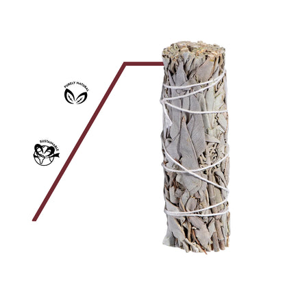 Weißer Salbei als Symbol für Reinheit, Schutz und energetische Reinigung. Naturrein, unbehandelt in top Qualität