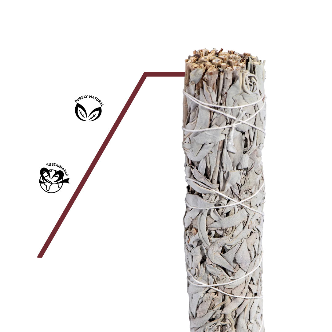 Naturreines, unbehandeltes Bündel weißer Salbei aus nachhaltigem, biologischem Anbau mit ursprünglicher Farbe und dichter Blattstruktur.