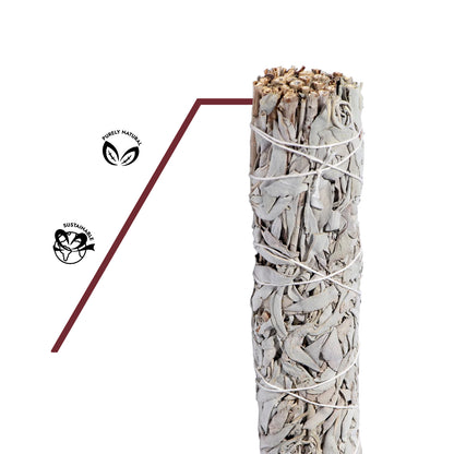 Naturreines, unbehandeltes Bündel weißer Salbei aus nachhaltigem, biologischem Anbau mit ursprünglicher Farbe und dichter Blattstruktur.