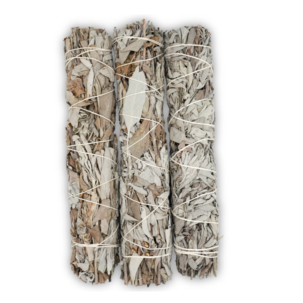 Weißer Salbei als Symbol für Reinheit, Schutz und energetische Reinigung in minimalistischer Darstellung.