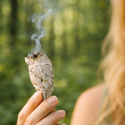 Weiße Salbei Fackel Anwendung beim Räuchern unterstützt Reinigung, Klarheit und angenehme Raumatmosphäre.
