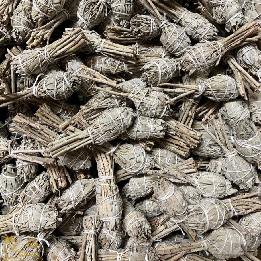 Mehrere naturreine weiße Salbei Fackeln nebeneinander gelegt, bereit für verschiedene Räucherrituale.